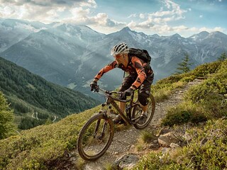 Appartamento per vacanze Steinhaus im Ahrntal Ambiente 34