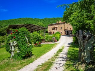 Maison de vacances Cortona  3