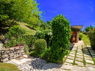 Maison de vacances Cortona Environnement 10