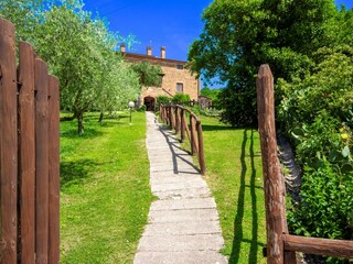 Maison de vacances Cortona Environnement 14