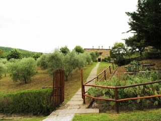 Casa per le vacanze Cortona Registrazione all'aperto 8