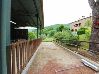Casa per le vacanze Cortona Registrazione all'aperto 12
