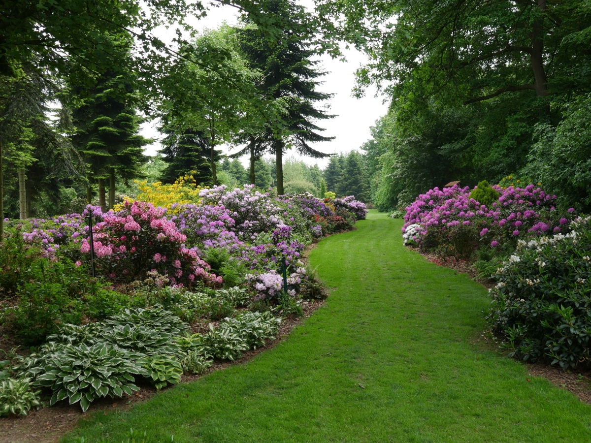 Waldgarten