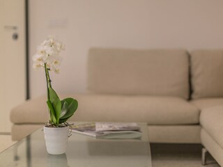 Apartment Venedig Features 12