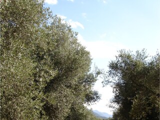 Casa per le vacanze Urtaca Ambiente 10