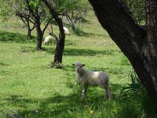 Casa per le vacanze Urtaca Ambiente 14