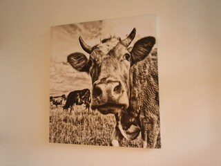 Appartamento Kirchdorf in Tirol  36