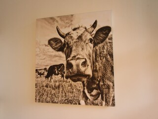 Appartement Kirchdorf in Tirol  34