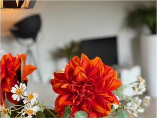 Holiday apartment Cadzand-Bad Features 12