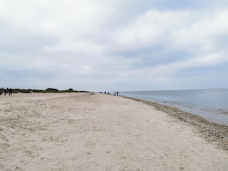 Hundestrand in Schillig