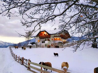 Holiday apartment Kiens Outdoor Recording 3