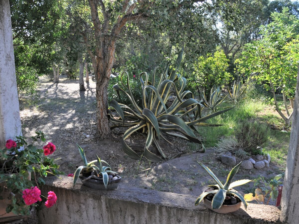 Blick von Terrasse in den Garten