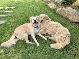 Villa Olbia Enregistrement extérieur 2