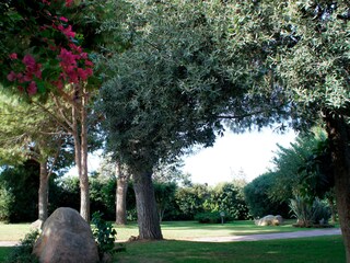 Villa Quartu Sant' Elena Registrazione all'aperto 13