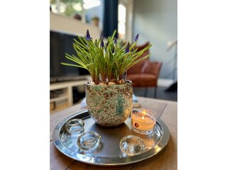 Appartamento per vacanze Bergen (Holland) Caratteristiche 8