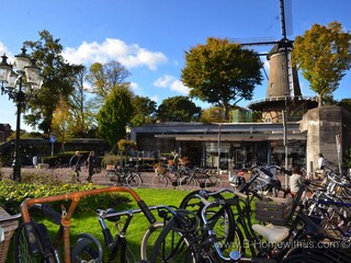 Appartamento per vacanze Bergen (Holland) Ambiente 19