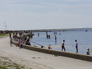 Ferienwohnung Dorum-Neufeld Umgebung 15