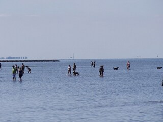 Ferienwohnung Dorum-Neufeld Umgebung 14