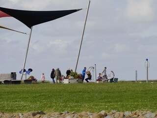 Ferienwohnung Dorum-Neufeld Umgebung 19