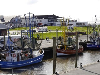 Ferienwohnung Dorum-Neufeld Umgebung 22