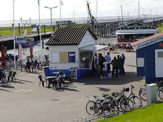 Ferienwohnung Dorum-Neufeld Umgebung 21