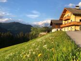 Boerderij Eben im Pongau Buitenaudio-opname 1