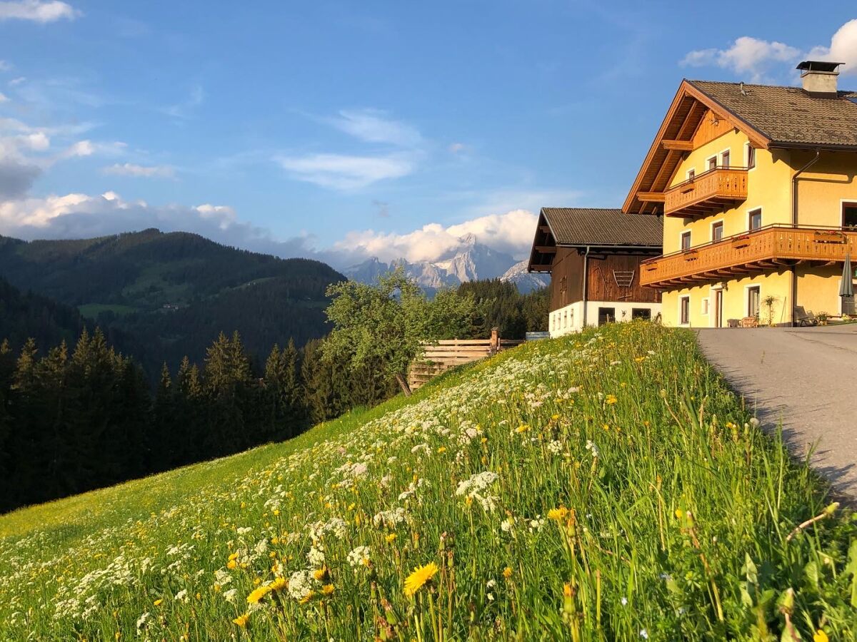 Fattoria Eben im Pongau Registrazione all'aperto 1