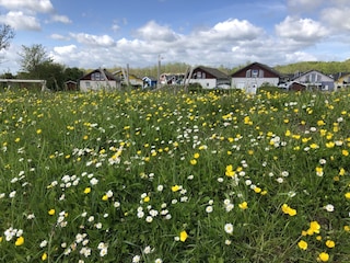 Eingerahmt von Deich, Feld und Meer