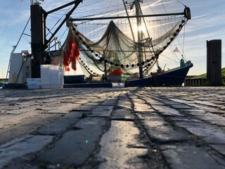 Dangast