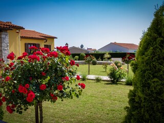 Villa Galižana Caratteristiche 35