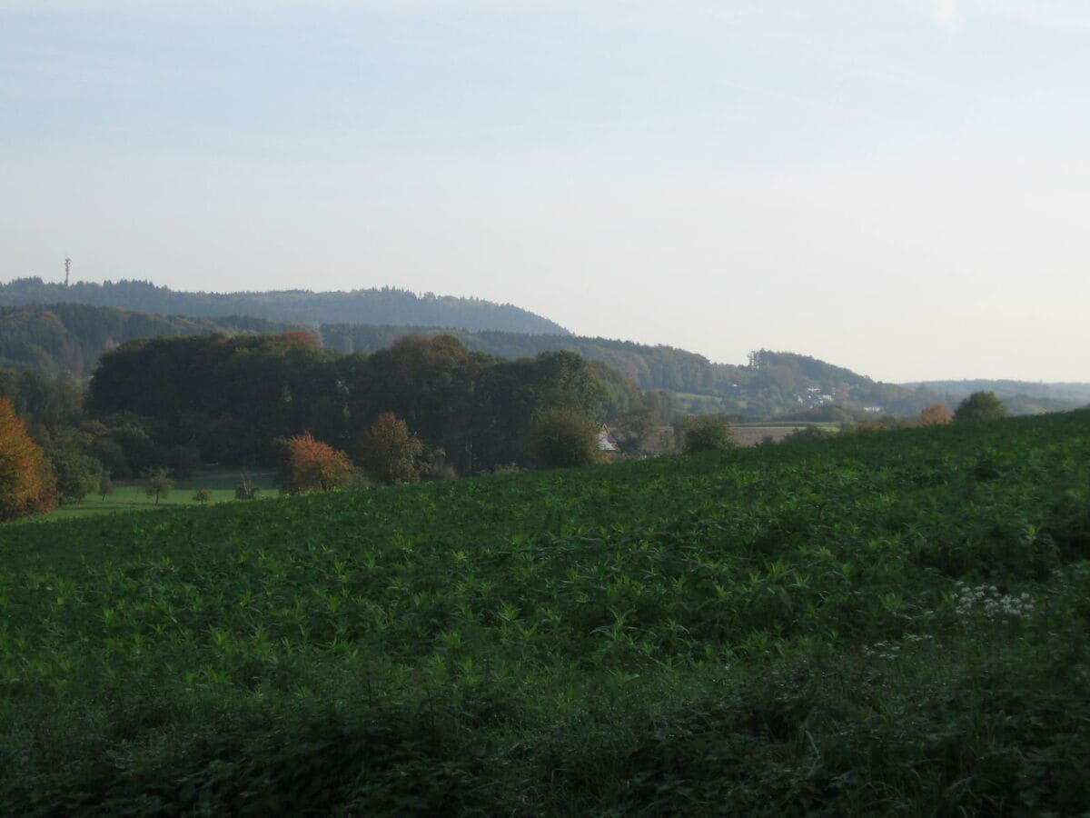 Blick vom Hermannsweg 1km entfernt