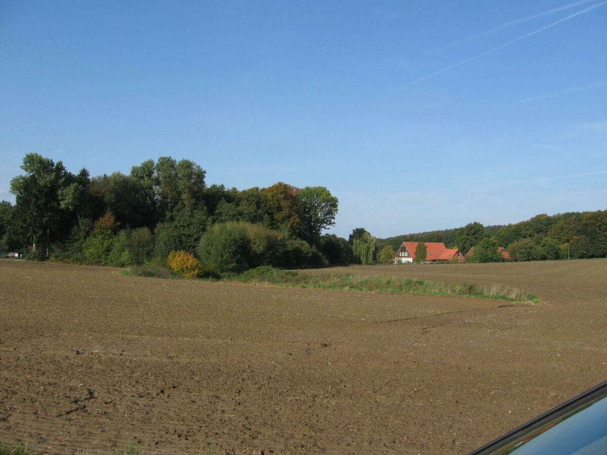 Blick aufs Haus, Südseite