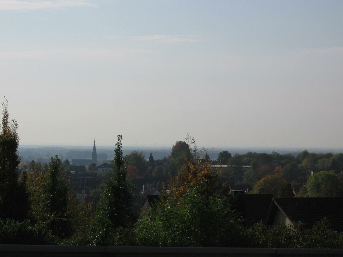 Blick aufs Münsterland