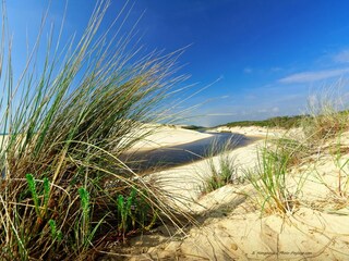 Ferienhaus Arcachon Umgebung 35
