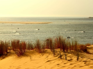 Ferienhaus Arcachon Umgebung 27