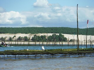 Ferienhaus Arcachon Umgebung 26