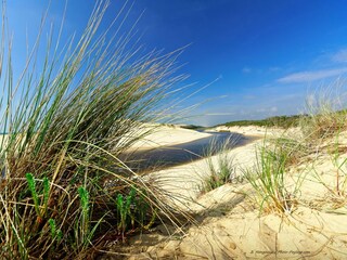 Casa de vacaciones Arcachon Entorno 30