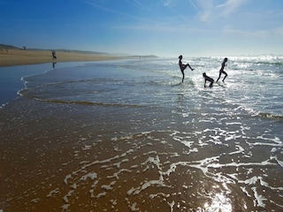 Ferienhaus Arcachon Umgebung 29