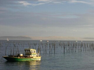 Vakantiehuis Arcachon Omgeving 33