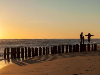Casa de vacaciones Arcachon Entorno 38