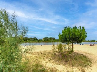 Casa de vacaciones Arcachon Entorno 31