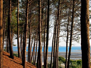 Ferienhaus Arcachon Umgebung 29
