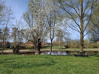 Ferienhaus Kaltenhof Umgebung 18