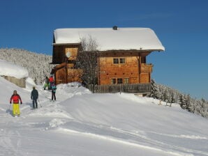 Holiday house HohlriederalmhÃ¼tte - Thierbach - image1