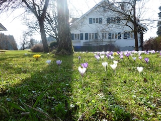 Ferienwohnung Rettenberg Außenaufnahme 2