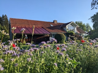 Ferienwohnung Rettenberg Außenaufnahme 3