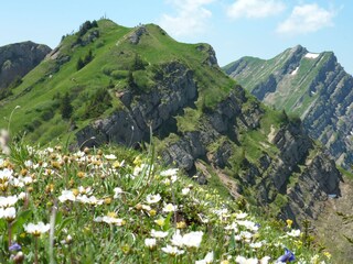 Ferienwohnung Rettenberg Umgebung 39