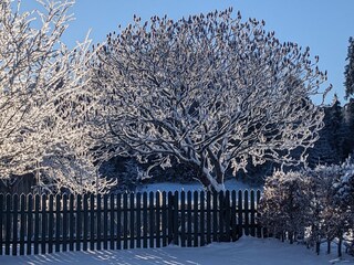 Ferienwohnung Rettenberg Außenaufnahme 15