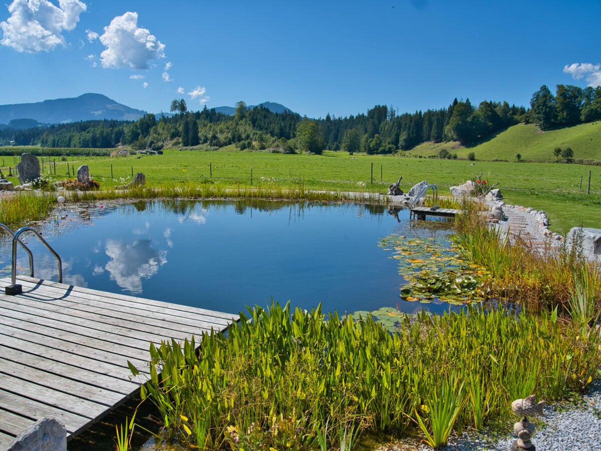 Unser Naturteich mit atemberaubenden Ausblick