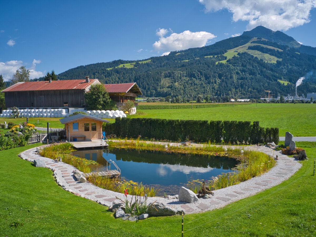 Unser Schwimmteich mit Blick auf das Kitzbüheler Horn